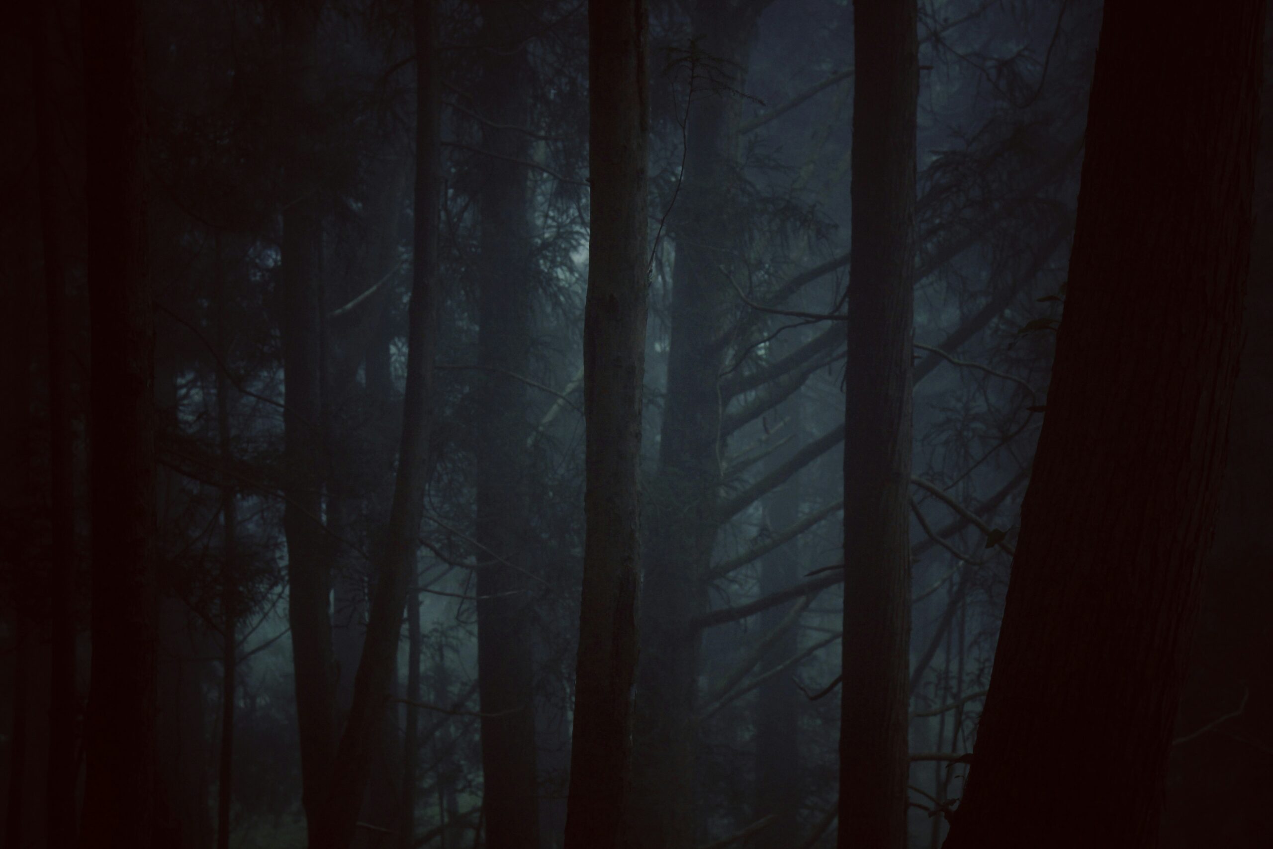 திகில் இரவுகள்