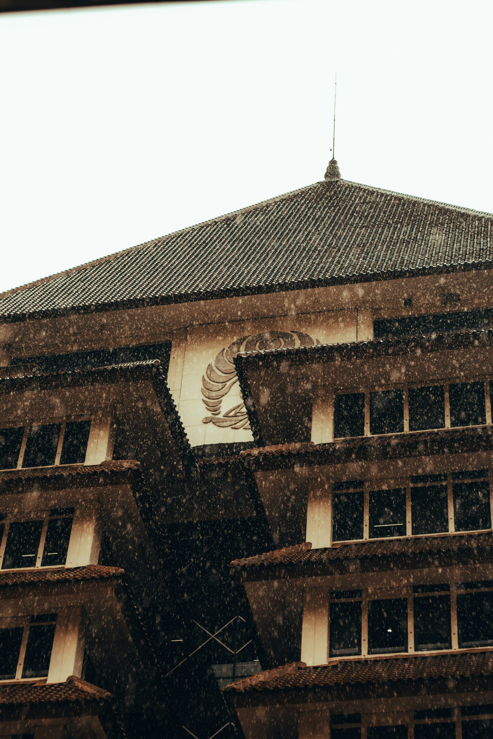 ஆணிவேருக்கு உரமிடுங்கள்