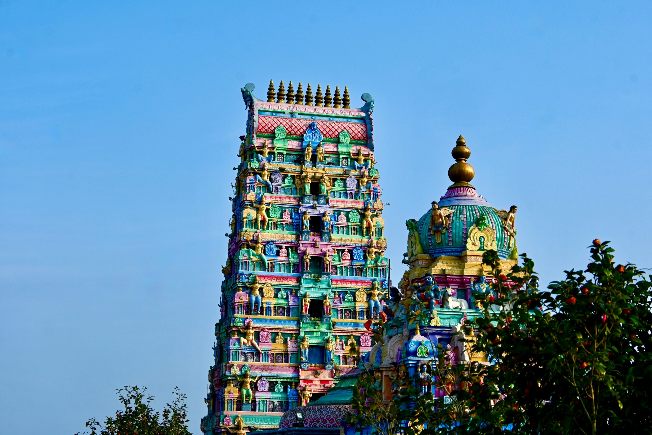 சிறப்பு அனுமதி