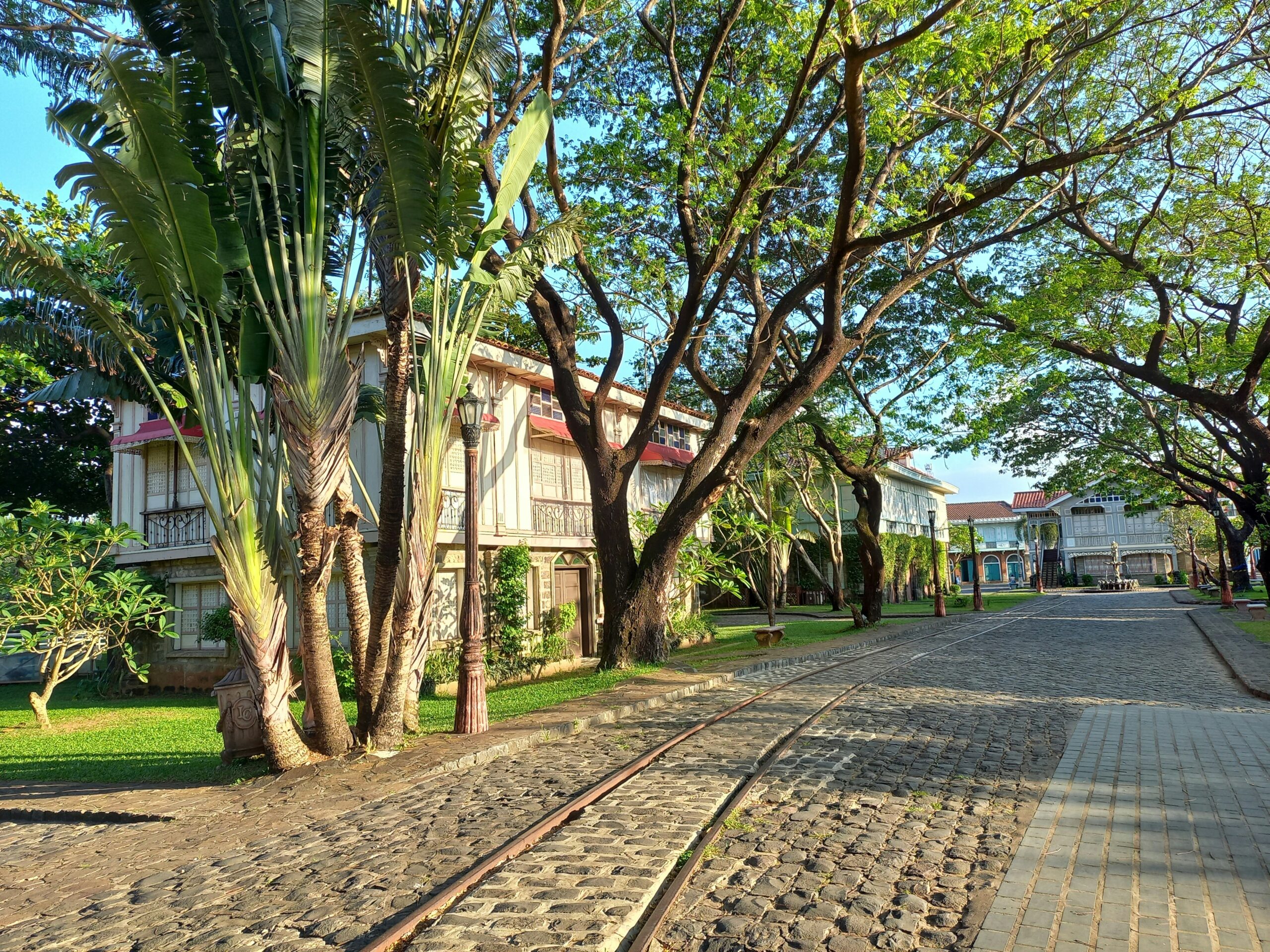 வளர்சிதை