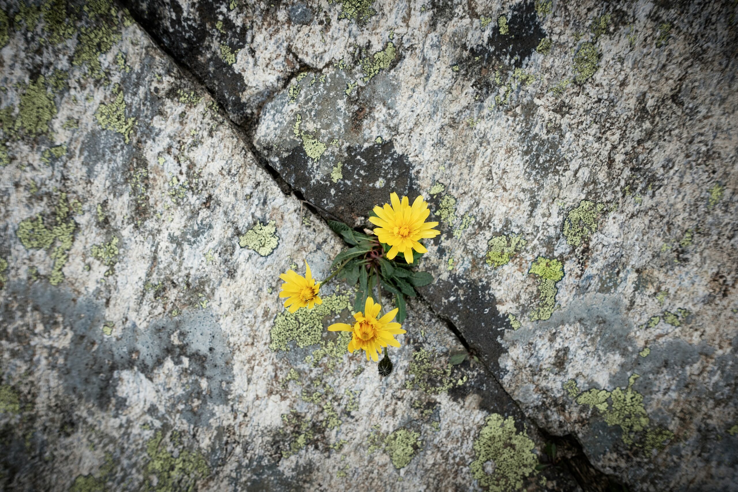 கடப்பாரை