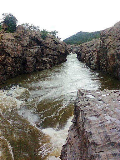 கரும்பு வேலியும் வெள்ளாடும்